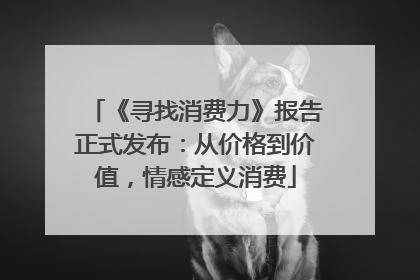 《寻找消费力》报告正式发布：从价格到价值，情感定义消费