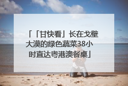 「甘快看」长在戈壁大漠的绿色蔬菜38小时直达粤港澳餐桌