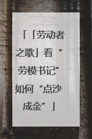 「劳动者之歌」看“劳模书记”如何“点沙成金”