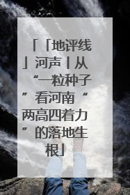 「地评线」河声丨从“一粒种子”看河南“两高四着力”的落地生根