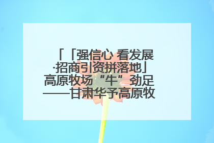 「强信心 看发展·招商引资拼落地」高原牧场“牛”劲足——甘肃华予高原牧场高标准奶牛肉牛养殖项目一线见闻