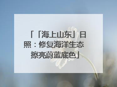 「海上山东」日照：修复海洋生态 擦亮蔚蓝底色