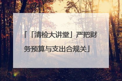 「清检大讲堂」严把财务预算与支出合规关