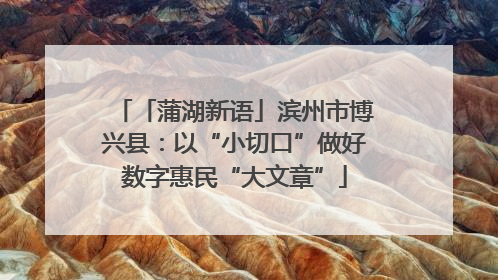 「蒲湖新语」滨州市博兴县：以“小切口”做好数字惠民“大文章”
