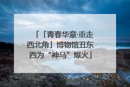 「青春华章·重走西北角」博物馆丑东西为“神马”爆火
