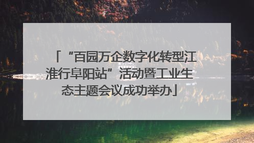 “百园万企数字化转型江淮行阜阳站”活动暨工业生态主题会议成功举办