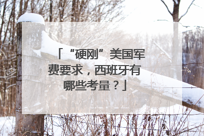 “硬刚”美国军费要求，西班牙有哪些考量？
