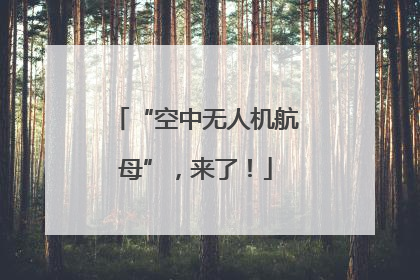 “空中无人机航母”，来了！