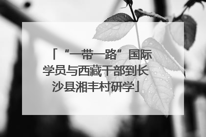 “一带一路”国际学员与西藏干部到长沙县湘丰村研学