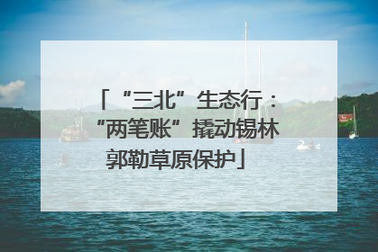 “三北”生态行：“两笔账”撬动锡林郭勒草原保护