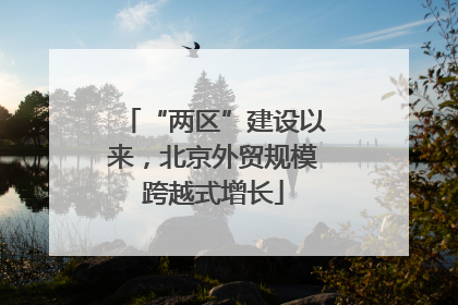 “两区”建设以来，北京外贸规模跨越式增长