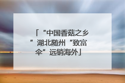 “中国香菇之乡”湖北随州“致富伞”远销海外
