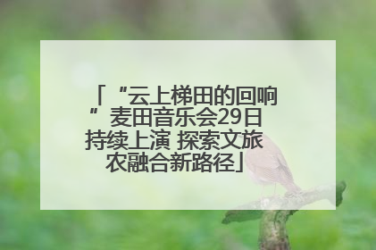 “云上梯田的回响”麦田音乐会29日持续上演 探索文旅农融合新路径