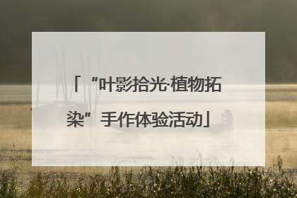 “叶影拾光·植物拓染”手作体验活动
