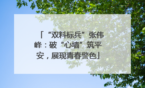 “双料标兵”张伟峰：破“心墙”筑平安，展现青春警色