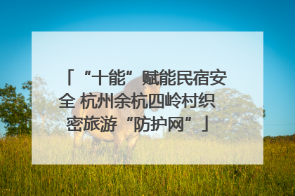 “十能”赋能民宿安全 杭州余杭四岭村织密旅游“防护网”