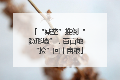 “减垄”推倒“隐形墙”，百亩地“捡”回十亩粮