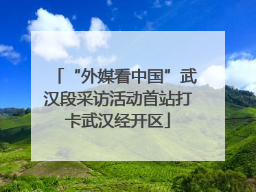 “外媒看中国”武汉段采访活动首站打卡武汉经开区