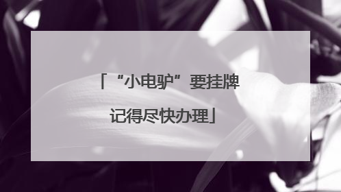“小电驴”要挂牌 记得尽快办理