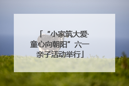 “小家筑大爱·童心向朝阳”六一亲子活动举行