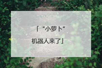 “小萝卜”机器人来了