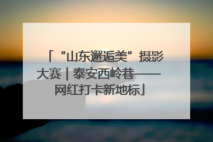 “山东邂逅美”摄影大赛｜泰安西岭巷——网红打卡新地标