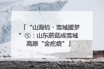 “山海情・雪域援梦”⑤：山东蘑菇成雪域高原“金疙瘩”