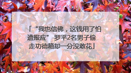 “我也信佛，这钱用了怕遭报应” 罗平2名男子偷走功德箱却一分没敢花