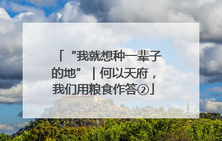 “我就想种一辈子的地”｜何以天府，我们用粮食作答②