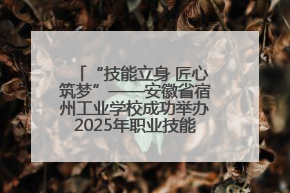 “技能立身 匠心筑梦”——安徽省宿州工业学校成功举办2025年职业技能活动周各项活动