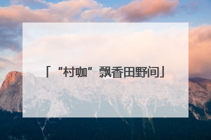 “村咖”飘香田野间