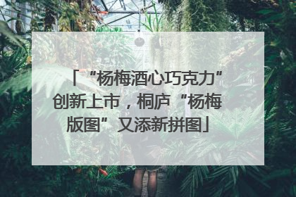 “杨梅酒心巧克力”创新上市，桐庐“杨梅版图”又添新拼图