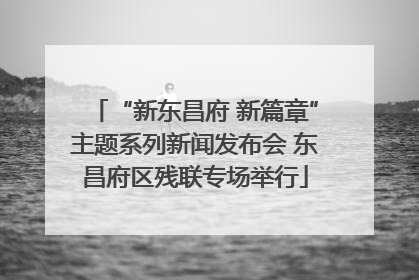 “新东昌府 新篇章”主题系列新闻发布会 东昌府区残联专场举行