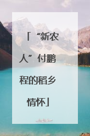 “新农人”付鹏程的稻乡情怀