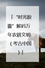 “时光胶囊”解码万年农耕文明（考古中国）