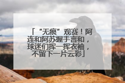 “无痕”观赛！阿连和阿苏握手言和，球迷们挥一挥衣袖，不留下一片云彩