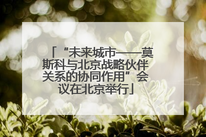 “未来城市——莫斯科与北京战略伙伴关系的协同作用”会议在北京举行