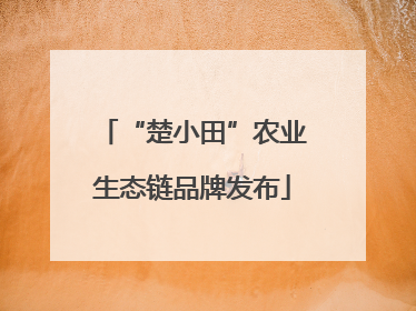 “楚小田”农业生态链品牌发布