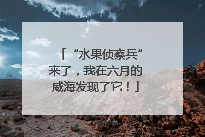 “水果侦察兵”来了，我在六月的威海发现了它！