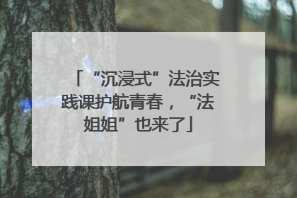 “沉浸式”法治实践课护航青春，“法姐姐”也来了