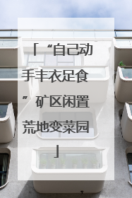 “自己动手丰衣足食”矿区闲置荒地变菜园