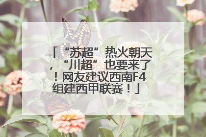 “苏超”热火朝天，“川超”也要来了！网友建议西南F4组建西甲联赛！