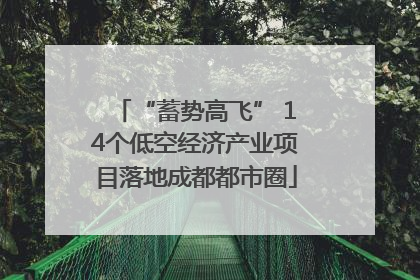 “蓄势高飞” 14个低空经济产业项目落地成都都市圈