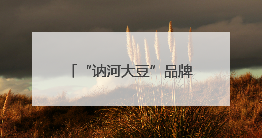 “讷河大豆”品牌闪耀京城，引领农业现代化新风尚——“讷河大豆”品牌新发地推介会圆满落幕