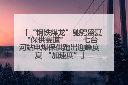 “钢铁煤龙”驰骋盛夏 “保供赛道”——七台河站电煤保供跑出迎峰度夏 “加速度”