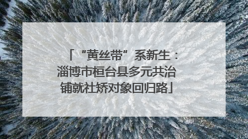 “黄丝带”系新生：淄博市桓台县多元共治铺就社矫对象回归路