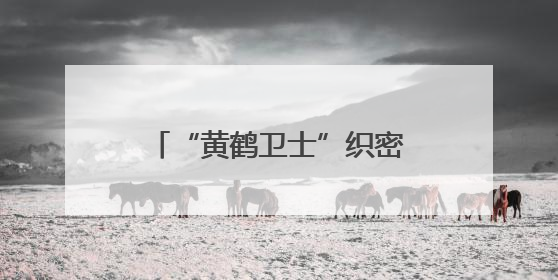 “黄鹤卫士”织密安全网 新就业群体筑牢社区防火墙