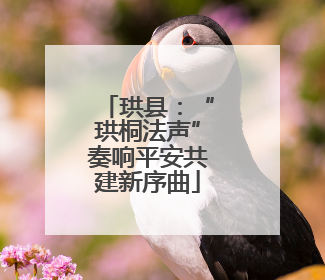 珙县：“珙桐法声”奏响平安共建新序曲