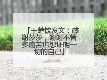 王楚钦发文：感谢莎莎，谢谢不管多痛苦也想证明一切的自己