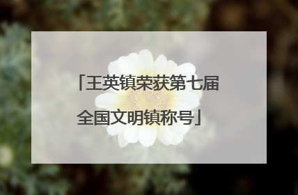 王英镇荣获第七届全国文明镇称号
